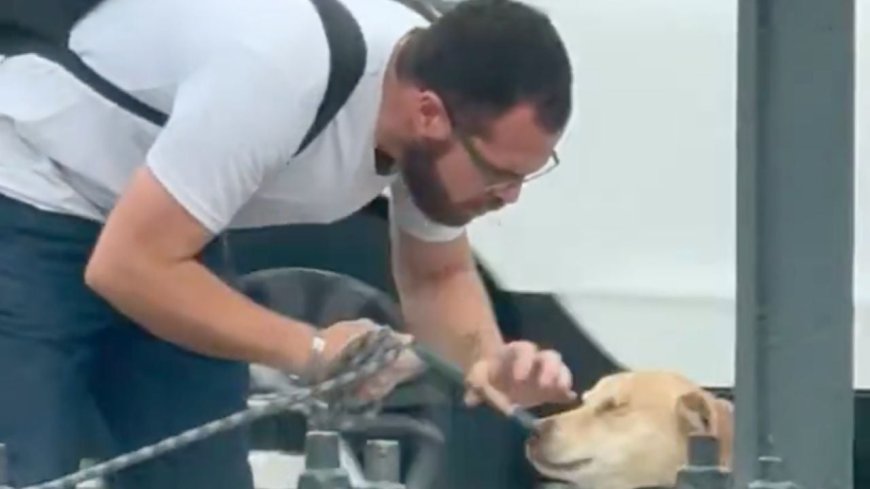 Polémica en redes: hombre agrediendo a perrito afuera de Metro Copilco