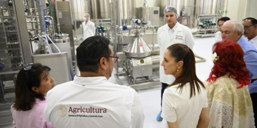 Claudia Sheinbaum inaugura planta Leche para el Bienestar en Campeche