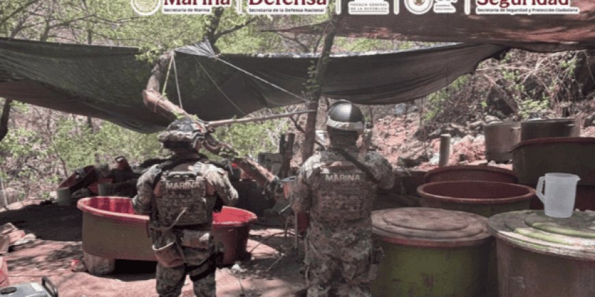 Desmantelan narcolaboratorios en Jalisco, Nayarit y Sinaloa; dos están ligados con "El Jardinero"