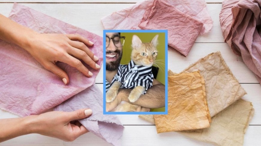 Felipo, el gatito que se convierte en modelo de moda sustentable