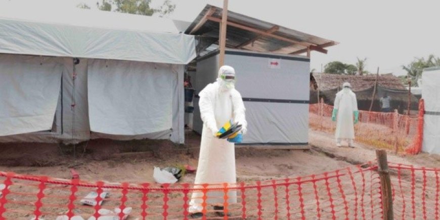 Alarma Mundial: El Brote de Ébola en la RDC y su Rápida Propagación