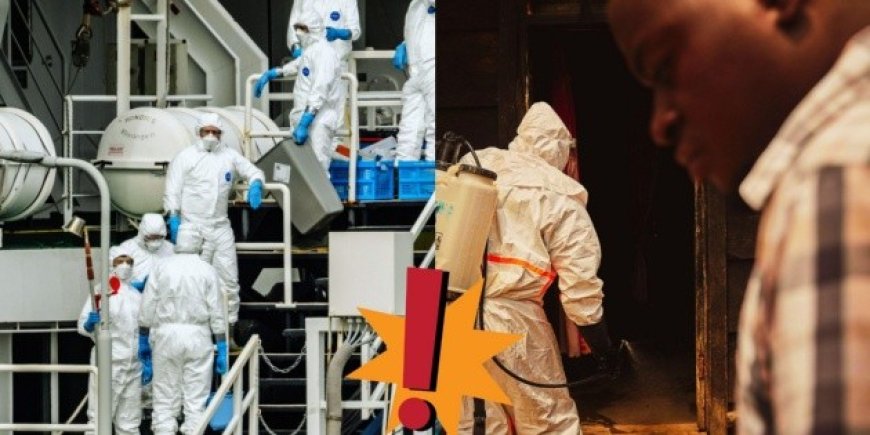 Ébola y Hantavirus: ¿Por qué México activa la vigilancia epidemiológica?