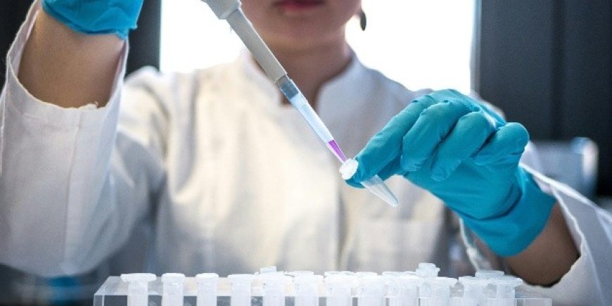 México se prepara para posibles contagios de Ébola y Hantavirus