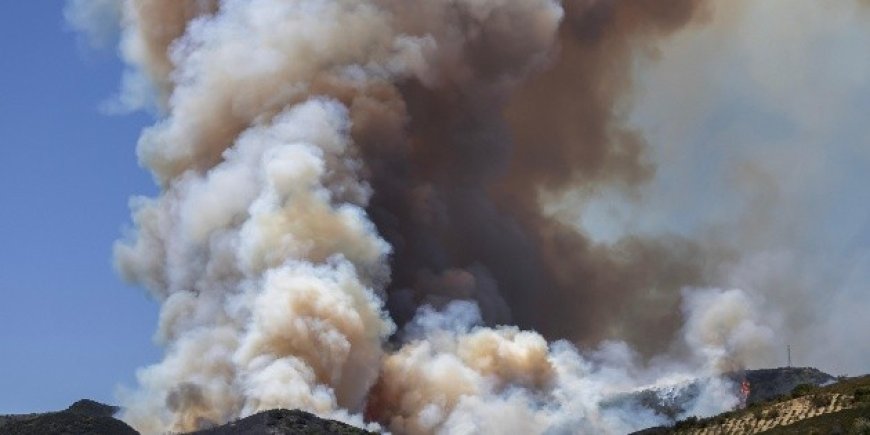 Incendios forestales en California: Evacuaciones masivas y una nueva crisis ambiental