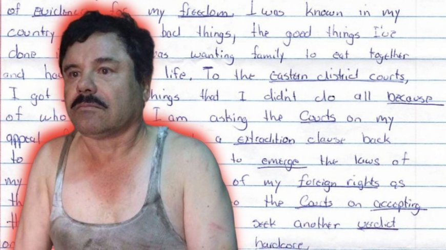 Joaquín 'El Chapo' Guzmán clama su inocencia y pide regresar a México