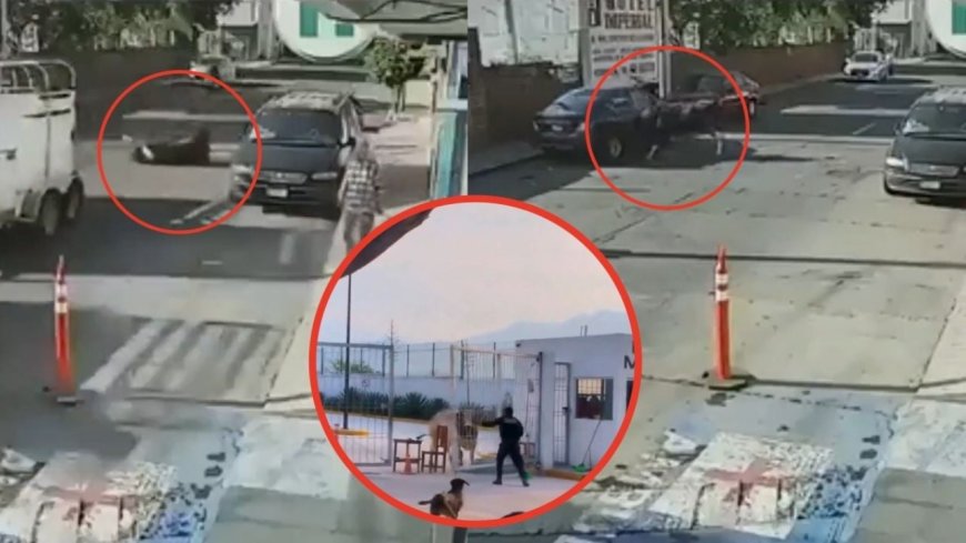 Increíble: Toros escapan y causan caos en las calles de México