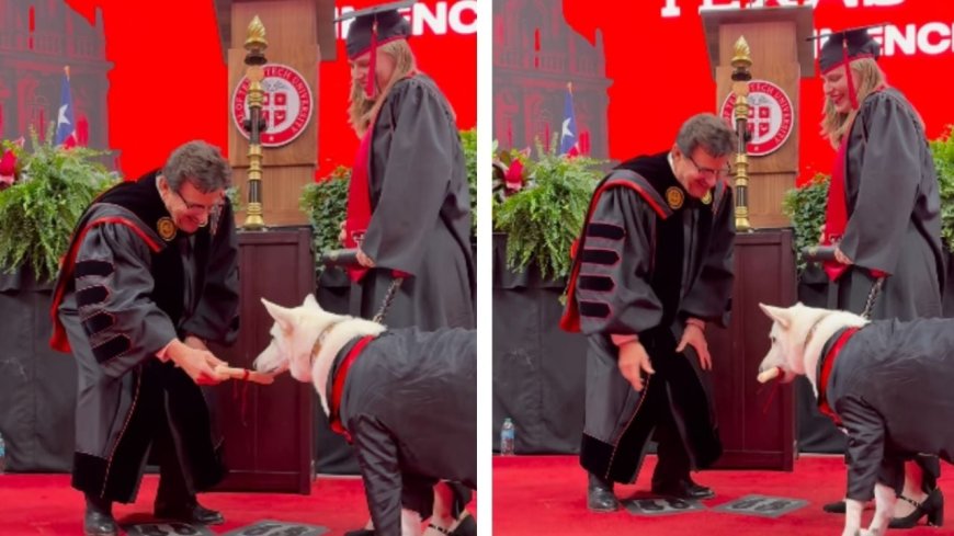 La emotiva graduación de una joven y su perra de servicio que se volvió viral