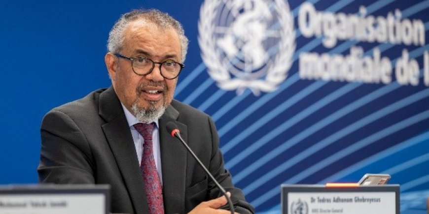 El brote de ébola en Congo: Riesgos y consecuencias alarmantes