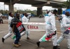OMS baja a 116 los casos sospechosos de ébola en la RD del Congo