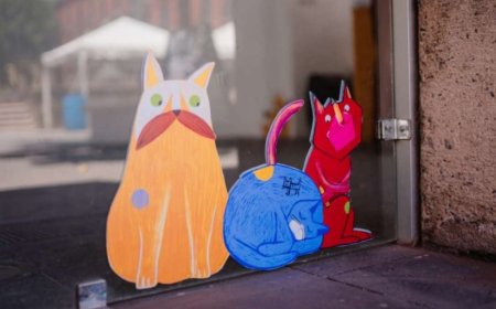 Qué hacer en Jalisco: encuentra los Cien gatos en la exposición de Cecilia Rébora en Zapopan