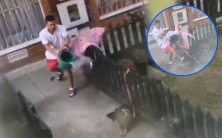 IMÁGENES SENSIBLES: Captan en VIDEO a hombre pateando y lanzando agua a una perrita