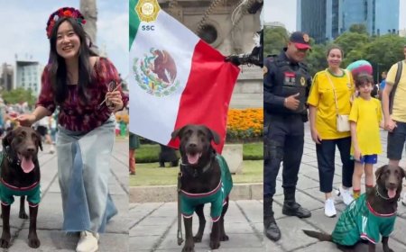 Perrita policía con playera de México conquista Paseo de la Reforma y enamora a los aficionados | VIDEO