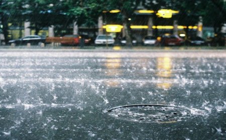 Clima en Timilpan, Estado de México: jueves 11 de junio con lluvia y ambiente fresco