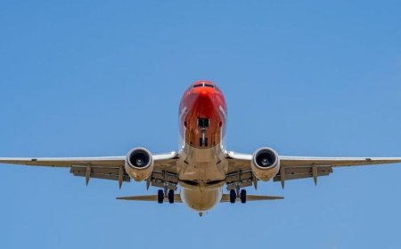Aeropuerto Internacional de Puerto Vallarta: estatus de vuelos demorados hoy 13 de junio