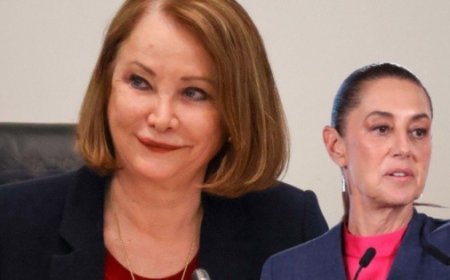 ¿Quién se quedaría en la presidencia del Senado tras la salida de Itzel Castillo?