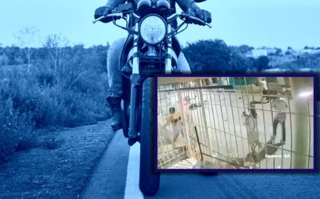 Aparatoso choque frontal entre motociclistas deja 2 muertos y una mujer herida | VIDEO