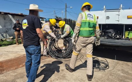 Desmantelan tomas clandestinas de energía que abastecían aserraderos ilegales en Ocuilan, en el Bosque de Agua