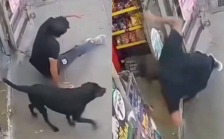 Perro 'atropella' a hombre y le rompe el brazo en el Edomex; así fue el accidente VIRAL | VIDEO