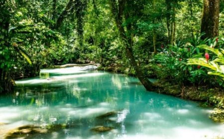 El bonito Pueblo Mágico de Tabasco con aguas cristalinas azufradas, jacuzzi naturales y rodeado de montañas con neblina: ideal para visitar este fin de semana