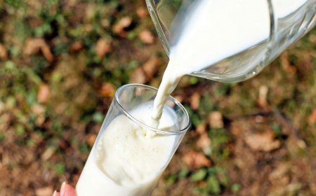La conversación sobre la leche que México necesita recuperar