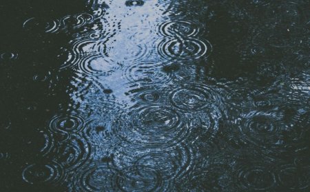 Clima y pronóstico en Tultitlán para el lunes 8 de junio: lluvia ligera y ambiente templado