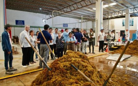 Semarnat refuerza acciones contra el sargazo en Quintana Roo