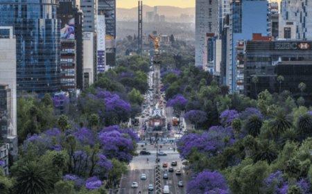 Estas son las obras en CDMX que están pendientes a unos días del Mundial 2026