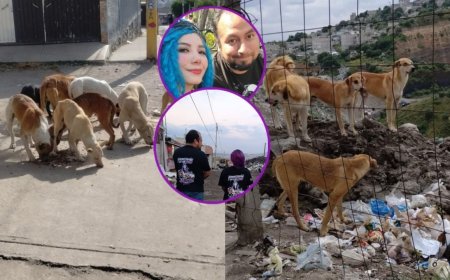 "México no tiene cultura de adopción", lamenta joven que alimenta y rescata a cientos de PERRITOS del ABANDONO en basureros de Chimalhuacán