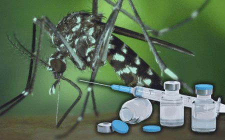Suman cuatro muertes por dengue en 2026; avanzan planes para incorporar vacuna