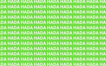 Solo un pequeño porcentaje de la población encuentra la palabra 'HABA' en menos de 5 segundos