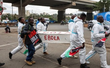 OMS baja a 116 los casos sospechosos de ébola en la RD del Congo