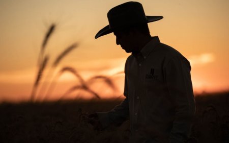 Bimbo impulsa la agricultura regenerativa y supera las 500 mil hectáreas cultivadas bajo este modelo