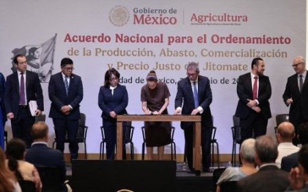 Sheinbaum anuncia acuerdo para bajar precio del jitomate en México