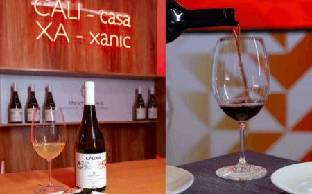 Monte Xanic: hospitalidad, identidad y evolución del vino mexicano