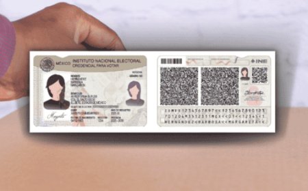 INE inicia producción de nuevo modelo de credencial para votar; ¿cómo será?