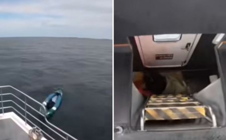 Rescatan a perro de morir ahogado en las costas de Inglaterra | VIDEO