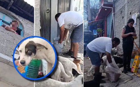 Mujer amenaza a rescatista por alimentar animales de la calle: “Les voy a echar agua”