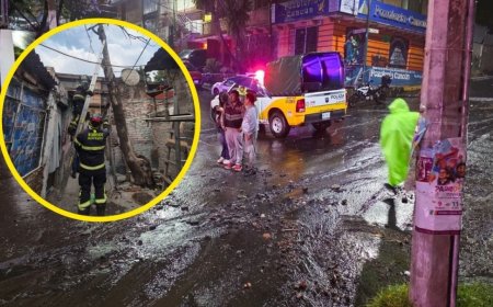 Clima severo en CDMX deja árboles derribados en 4 alcaldías y activa servicios de emergencia