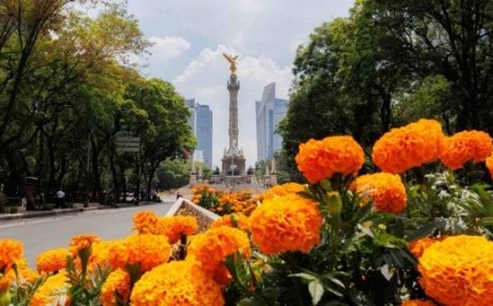 ¿Cempasúchil en Paseo de la Reforma? El motivo por el que se vistió de Día de Muertos en pleno junio