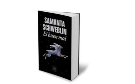 Recomendación literaria: El Buen Mal de Samanta Schweblin, un libro que descoloca al lector